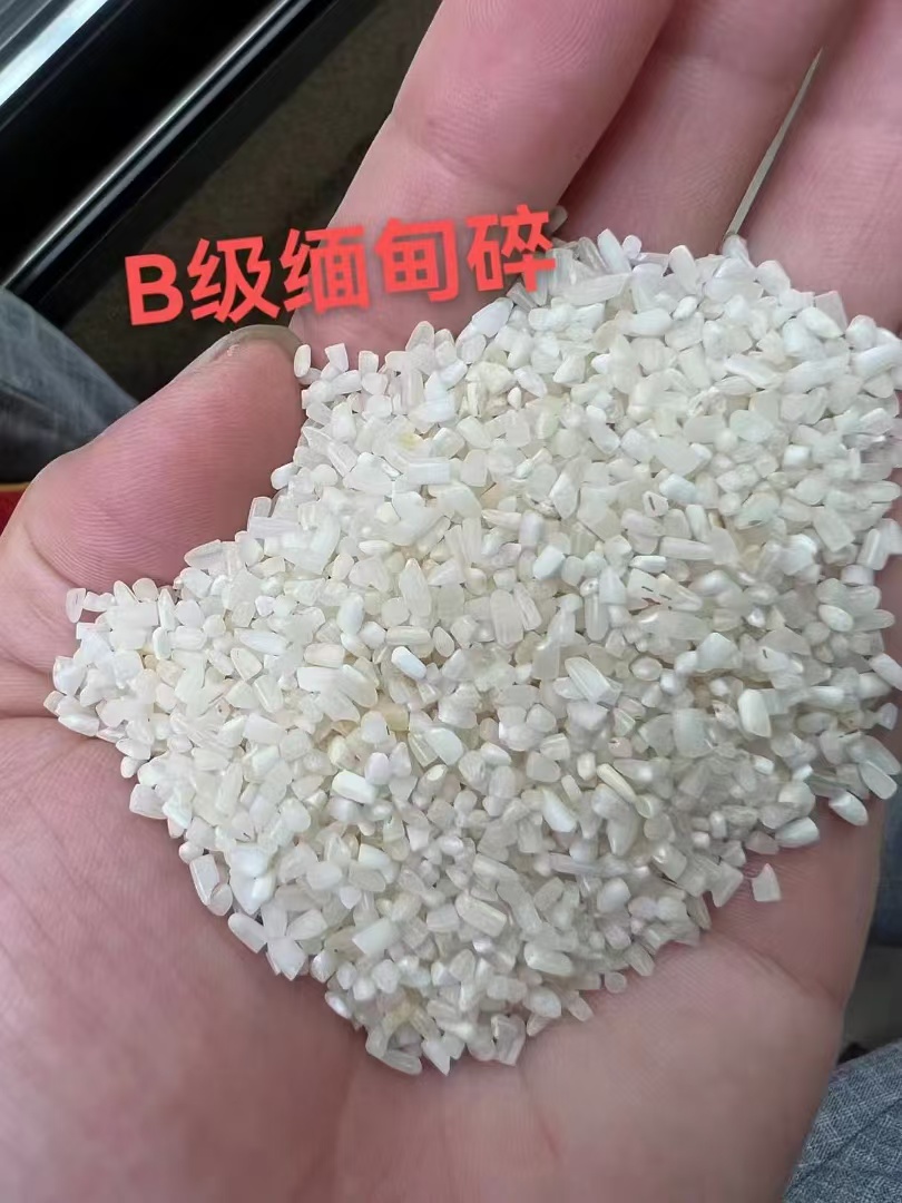 B级缅甸碎米.jpg